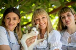 Feature background 4