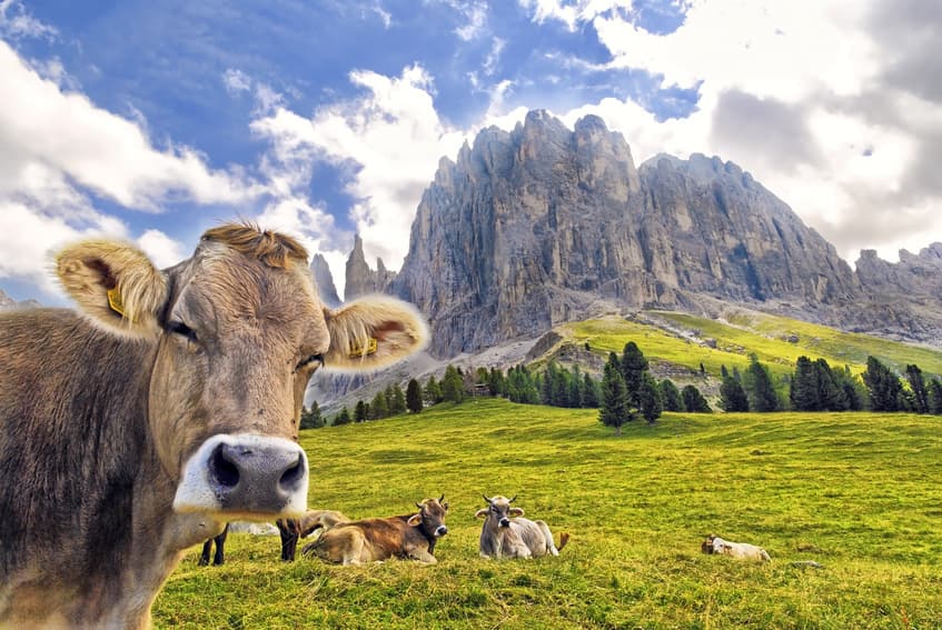 Törggelewochen im Oktober 6=7