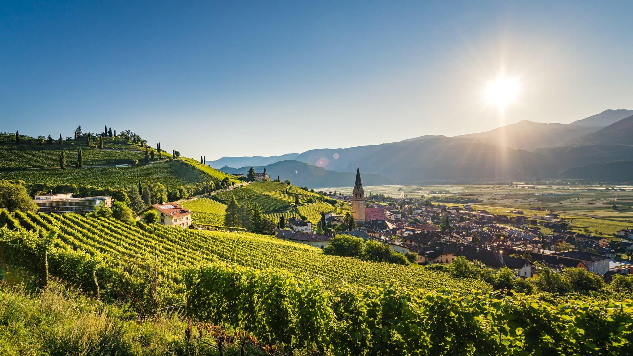Herbst in Tramin – 7 Nächte